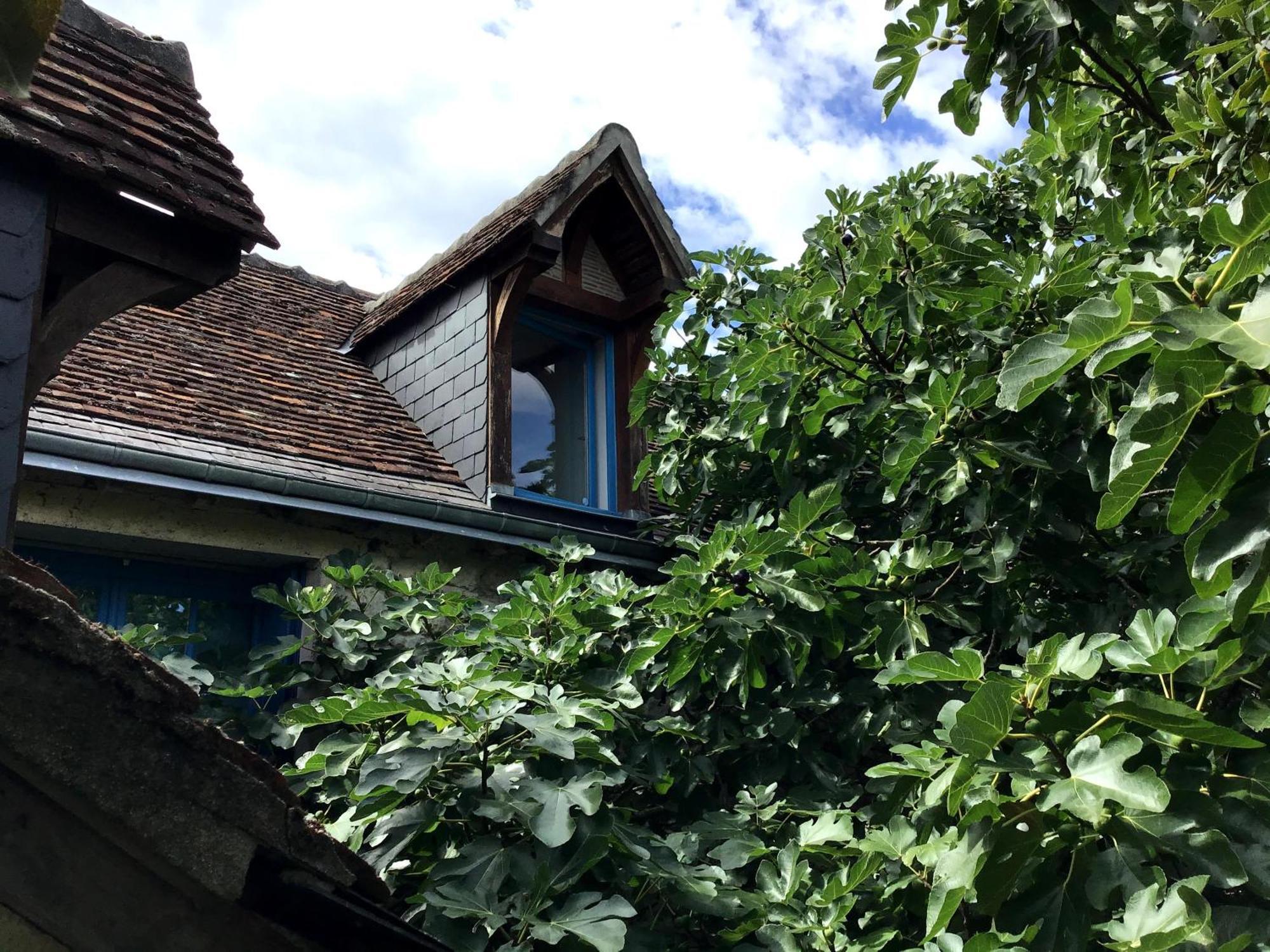 Вилла La Maison Bleue De Husseau Ancienne Ferme Semi-Troglodytique 18E Siecle Монлуи-сюр-Луар Экстерьер фото